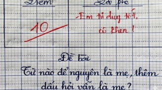 Một từ có nghĩa là “mẹ”, thêm dấu hỏi vẫn là “mẹ”: Nhiều người đoán sai