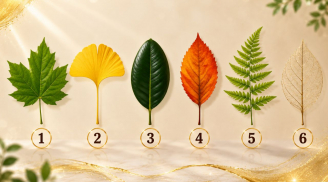 Quiz: Chọn 1 chiếc lá bạn ấn tượng nhất để xem bạn có khả năng tư duy độc đáo để tạo ra tiền?