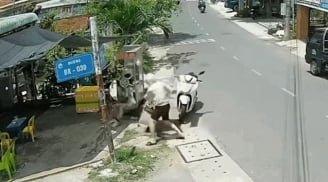 Cô gái TPHCM bị cuốn tay vào máy ép nước mía, cảnh báo nguy hiểm