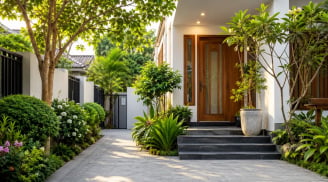 Trồng cây trước nhà cần tránh 5 điều này kẻo Thần Tài bỏ đi