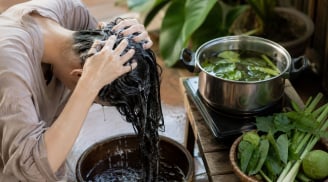 5 loại lá quen thuộc dùng gội đầu giúp tóc mượt không khô, giảm rụng