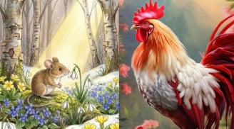 Đúng thứ Ba 26/5: 2 con giáp gặp quý nhân mở lối mới, 1 con giáp bất ngờ có tiền về