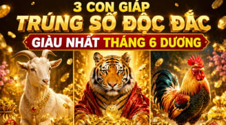 3 con giáp Trúng Số Độc Đắc, giàu nhất tháng 6 dương