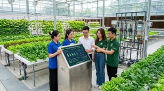 5 ngành học đang “khát” nhân lực tại Việt Nam: Ra trường dễ có việc, thu nhập nhiều người mơ ước