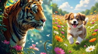 Tử vi thứ Tư, Năm 27-28/5: 2 con giáp đi đường cần thận trọng, 1 tuổi giữ bình tĩnh tránh lỡ cơ hội vàng