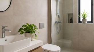 Vì sao nên có 1-2 chậu cây xanh trnog nhà tắm nhà vệ sinh, công dụng bất ngờ