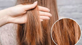 5 cách phục hồi tóc cháy nắng giúp tóc mềm hơn, giảm khô xơ trong mùa hè