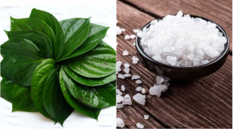 8 công dụng ít người biết từ lá trầu không: Điều thứ 2 ai cũng muốn thử một lần