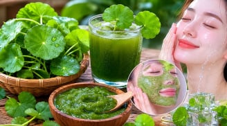 Cách dùng lá rau má hỗ trợ làm trắng da, mờ sạm nám: 4 cách dùng cần chú ý