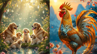  
Trước Tết Đoan Ngọ, 3 con giáp được lộc tổ tiên nâng đỡ, làm việc lớn dễ thành