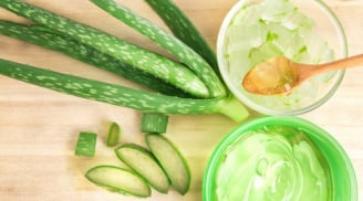 Đánh bay vết thâm mụn, khôi phục làn da sáng mịn chỉ với nha đam