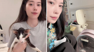 Nam Em gây phẫn nộ vì mèo cưng, Anthropic lại gây sốt với pet AI