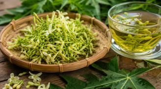 Những người nên cẩn thận với hoa đu đủ đực: Không phải dùng càng nhiều càng tốt