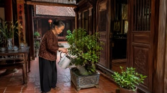Đặt 1 thứ này trong nhà: Giữ không khí thoáng mát, không cần điều hòa
