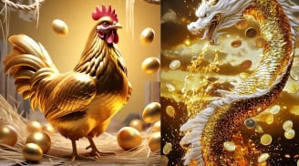Tháng Sáu giàu có bất ngờ: 3 con giáp gặp cơ hội mở đường tài chính, vận may đến đúng lúc