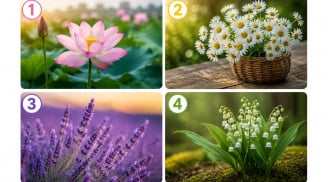 Quiz: Chọn 1 bông hoa cỏ bạn thích nhất: Tiết lộ tuổi già của bạn sẽ thong dong hay còn nhiều tất bật