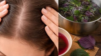 Cách gội đầu bằng nước lá tía tô hỗ trợ giúp da đầu sạch hơn, tóc bớt gãy rụng, mọc nhiều tóc mới