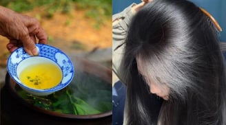 Cách gội đầu bằng nước chè xanh làm sạch gàu, giảm bết, tóc con mọc tua tủa