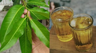Điều gì xảy ra với cơ thể nếu ngày nào cũng uống nước lá vối?