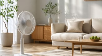 Quạt điện nên hướng từ trên đầu xuống, từ dưới lên hay ngang thân?