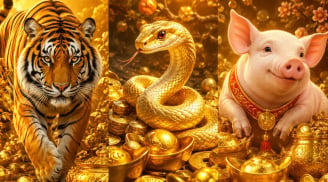 Thứ Hai, Thứ Ba (8-9/6): 3 tuổi Sạch Bách Nợ Nần, Giàu Sang Lừng Lẫy