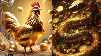Tuần 8-14/6: 2 con giáp công danh vang dội, 1 tuổi đi tới đâu cũng dễ hỏng việc nếu chủ quan