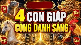 4 con giáp Sáng Đường Công Danh, tuổi 25 sự nghiệp sẽ phất
