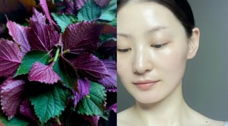 Cách rửa mặt bằng lá tía tô giúp da trắng mịn, mờ thâm nám