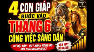 Chúc mừng 4 con giáp nhận tin tốt công việc xuôi thuận
