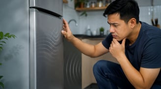 Tủ lạnh phát ra tiếng động này, đừng chủ quan: 5 vấn đề cần kiểm tra sớm