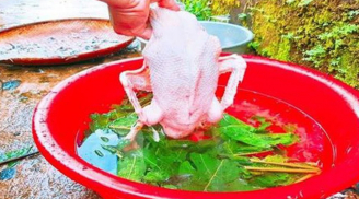 Mẹo nhổ lông vịt cực dễ, không còn một cọng lông măng chỉ trong 10 phút