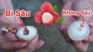 Mua vải đừng chỉ chọn quả to: Nhìn điểm này biết ngay hạt nhỏ, ăn ngọt lịm, không sâu đầu
