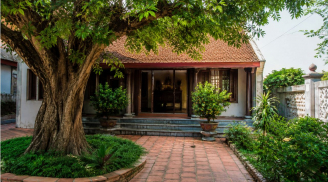 Người xưa nhắc nhở: 3 loại cây không nên trồng trước nhà kẻo hao tài tốn sức