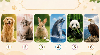 Quiz: Hình ảnh con vật yêu thích có thể tiết lộ trong mắt người khác, bạn thực sự là người như thế nào