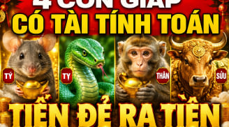4 con giáp có tài tính toán, Tiền đẻ ra Tiền