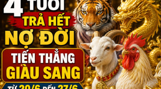 4 tuổi trả hết Nợ Đời, Tiến Thẳng giàu sang từ 20/6 đến 27/6