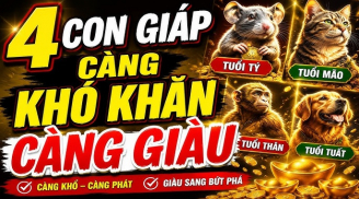 Kể từ mai 14/6, Mộng Vàng Thành Danh, 4 con giáp rủ nhau gánh lộc