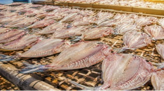 Ăn nhiều 6 loại cá này có thể tăng nguy cơ ung thư nhưng vẫn nhiều người thích ăn