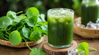 Cách làm nước rau má thanh nhiệt, mẹo hay để nước xanh mướt, không xỉn màu, để lâu không tách nước
