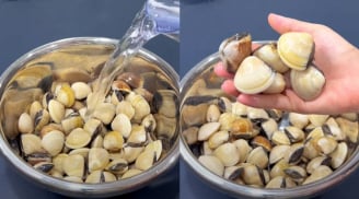Cách ngâm ngao sạch cát, không mất thời gian chờ lâu