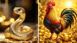 Top 3 tuổi Ngã Giữa Biển Tiền, Giàu Sang Thẳng Tiến sau ngày 11/6
