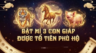 Không giàu sớm nhưng giàu bền: 3 con giáp tích lũy tiền tỷ ngập nhà