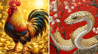 Từ 12/6 đến 21/6: 3 tuổi Đắc Lộc Đắc Tài, giàu nhất vị trí số 2