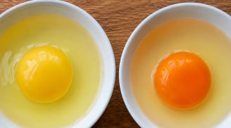 Lòng đỏ trứng càng đậm màu có phải càng bổ không?