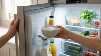 Vì sao nên để một bát muối trong tủ lạnh: Mẹo nhỏ thần kỳ giải quyết nỗi ám ảnh của mọi bà nội trợ