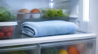 Vì sao người khôn ngoan luôn để một chiếc khăn trong tủ lạnh?