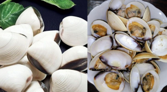 Mẹo để ngao nhả sạch cát nhanh: Đừng chỉ ngâm nước, nhiều người đang làm sai từ bước đầu
