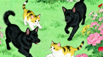 Nửa cuối tháng 6: 3 con giáp ra đường nên giữ bình tĩnh, tranh cãi nhỏ có thể kéo theo rắc rối lớn