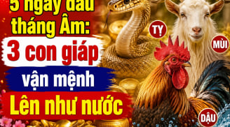 5 ngày đầu tháng Âm: 3 con giáp vận mệnh Lên như nước