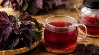 7 sai lầm khi nấu nước lá tía tô khiến dưỡng chất giảm, hương vị kém và hiệu quả không như mong đợi